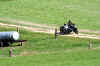 Bild 316.jpg (70167 Byte)